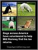 Click image for larger version. 

Name:	dogs_helping_mitt_find_tax_returns.jpg 
Views:	176 
Size:	103.4 KB 
ID:	35289